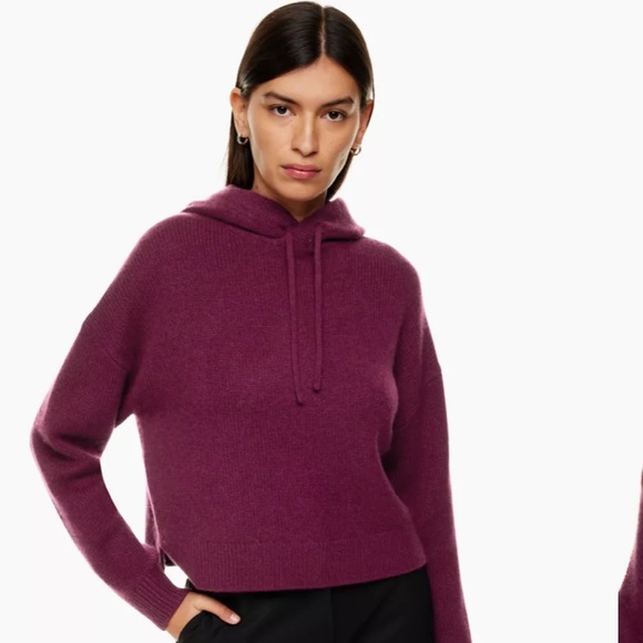 Babaton Sweaters - Aritzia hoodie in Grapevine